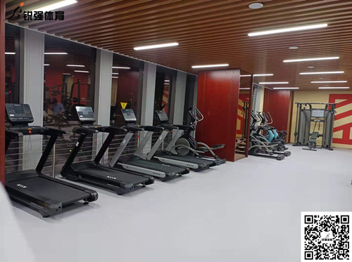 PA视讯完成的济南某部门单位健身房